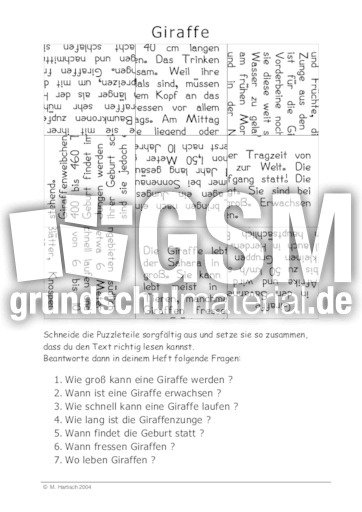 Giraffe.pdf